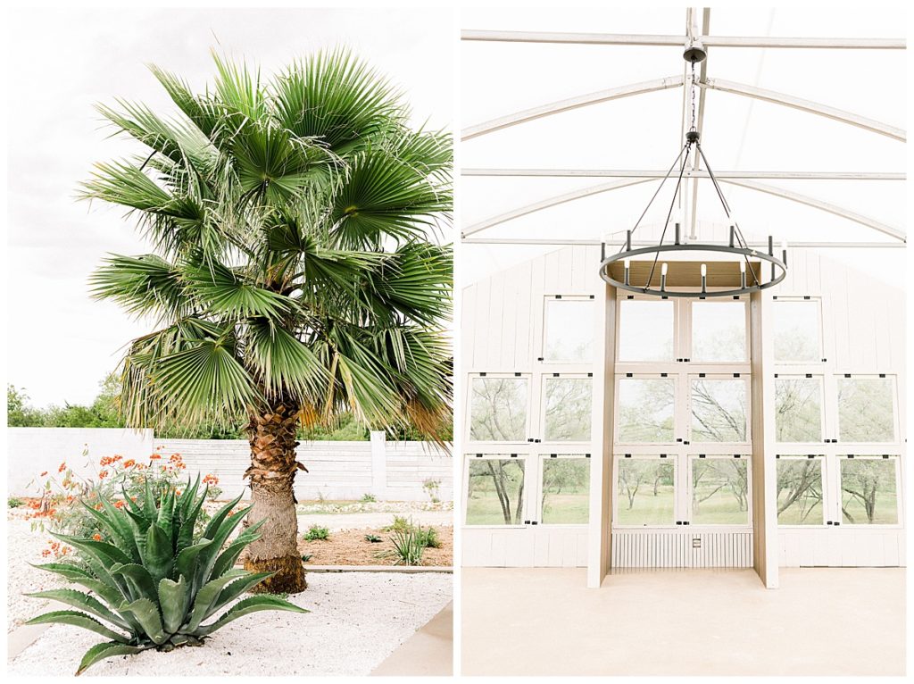 palm tree and greenhouse at Camino Real Ranch