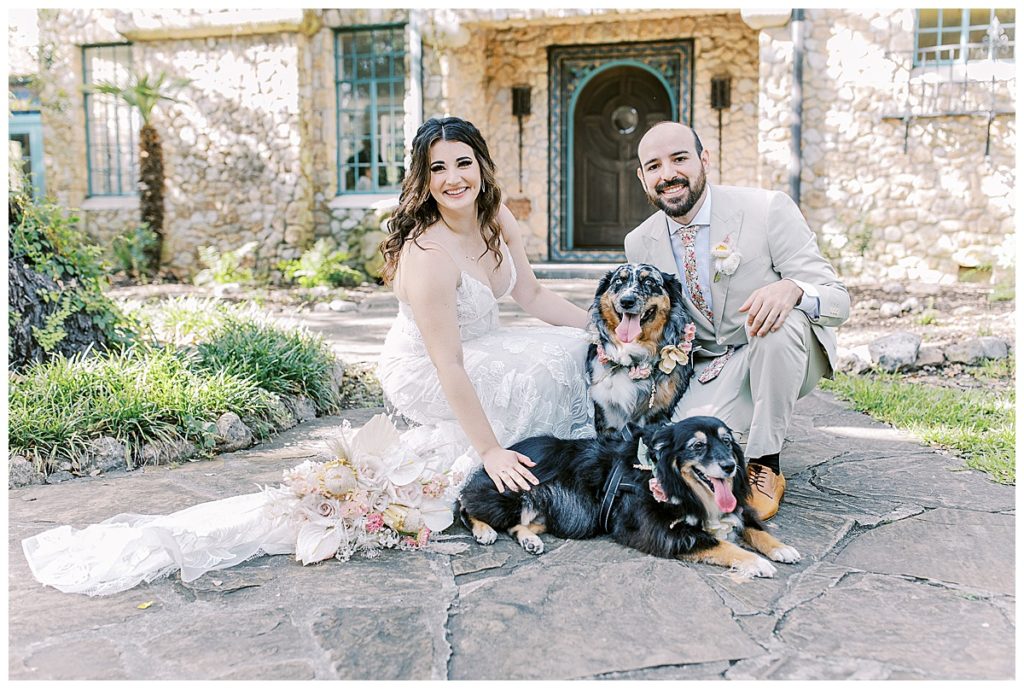 bride and groom pose with dogs on wedding day